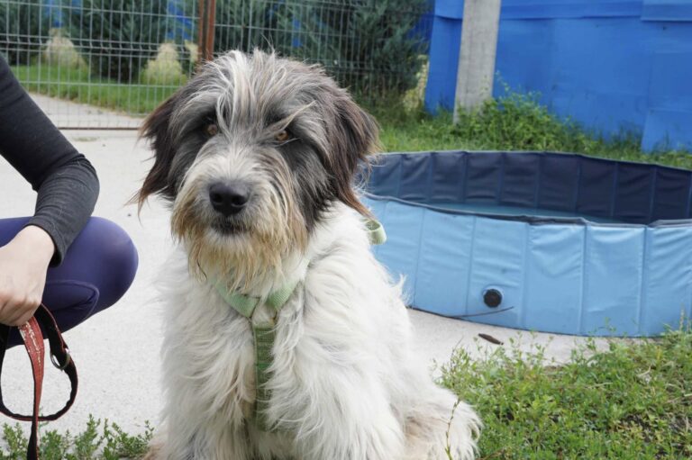 527384897_122134274774812415_8658306848649018149_n