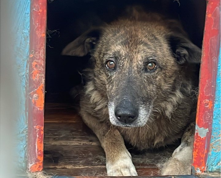 527650321_25137855085815698_5148701831028959800_n