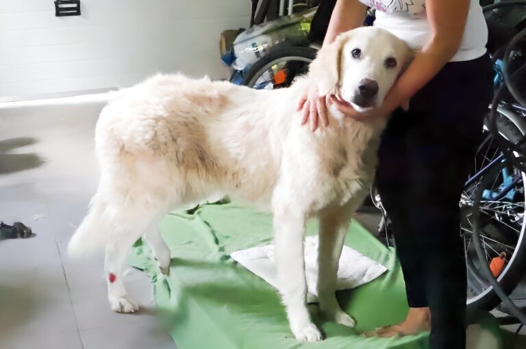 528044637_122134273592812415_3850495805240582254_n