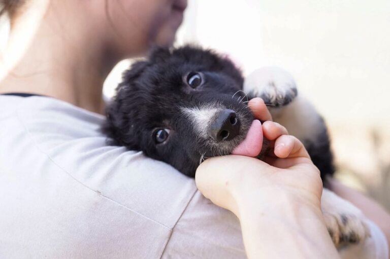 528084329_122134789478812415_3493251140124690189_n