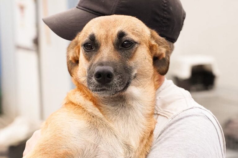 528573981_122134486070812415_3005940983566784697_n