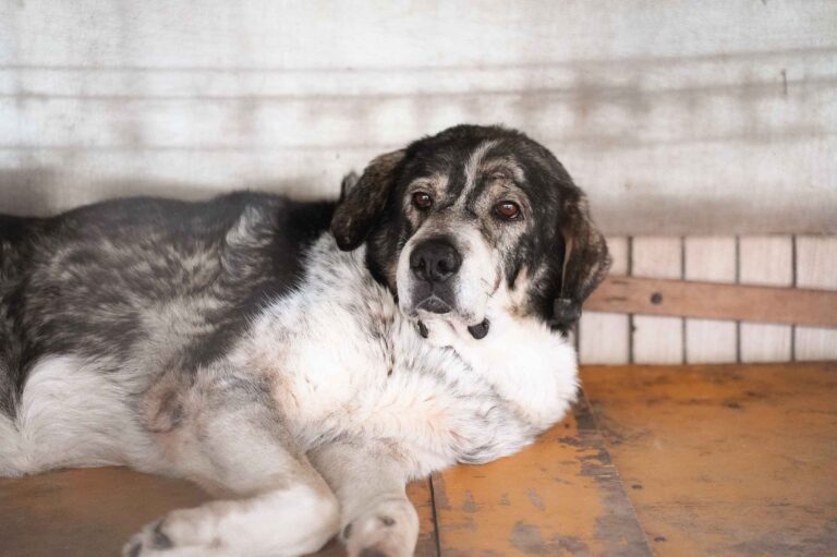 529024099_122135078942812415_7139654672531625066_n