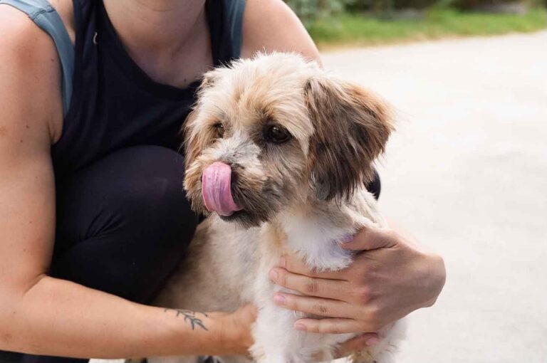 529468940_122135078642812415_7183904862751487519_n