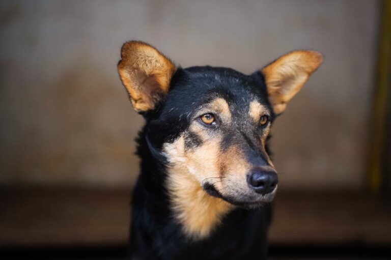 529641503_122135050364812415_6341516414680981917_n