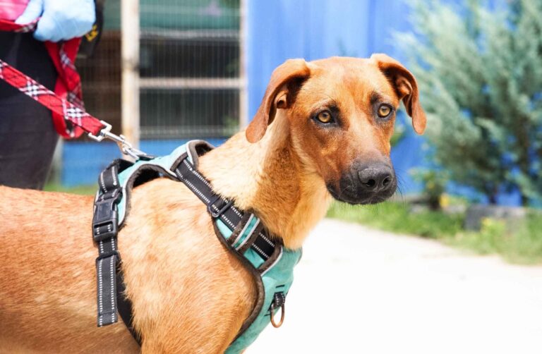 529680987_122135379872812415_1086237450500911257_n