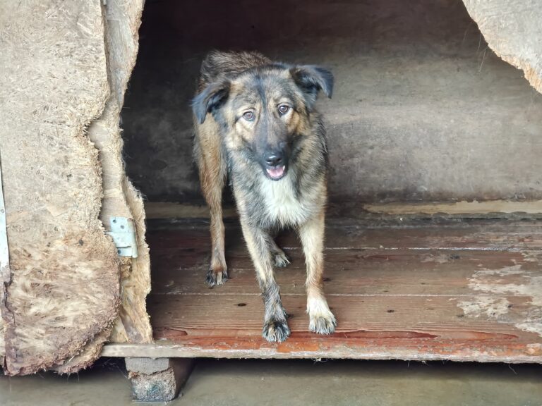 529753024_25207421722192367_3441530147987441340_n