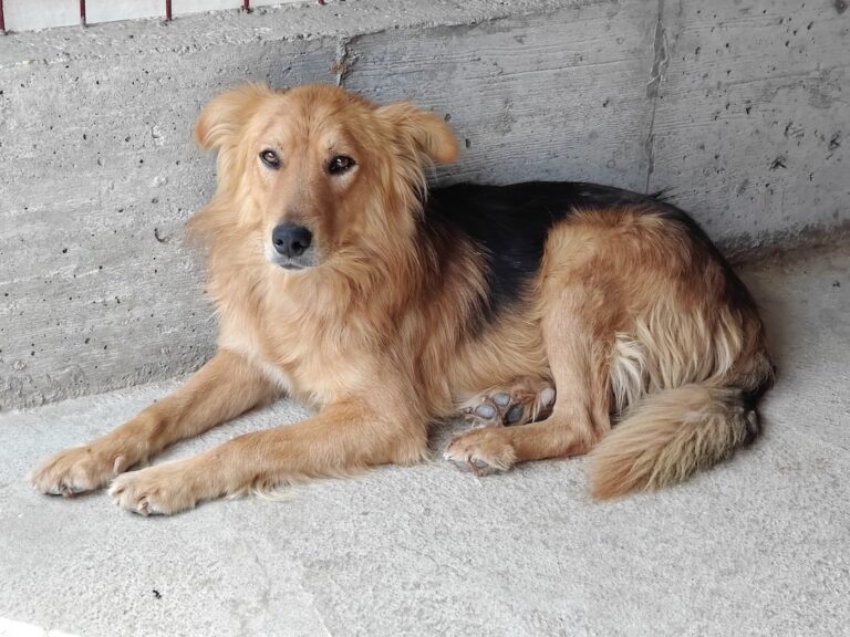 529867391_25207330312201508_7233061920237200733_n