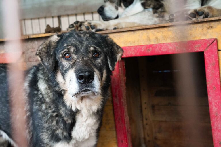 531135516_122136012236812415_2449993947608643524_n