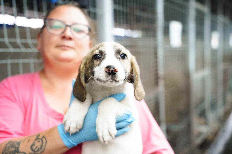 531793750_122136016208812415_8205355760636806453_n