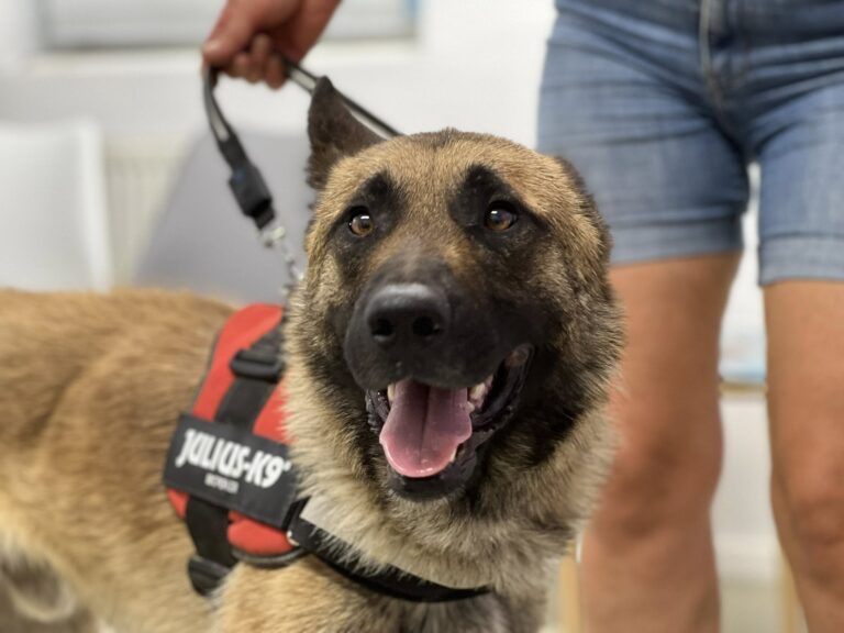 532250878_4028453820737756_642088136635261566_n