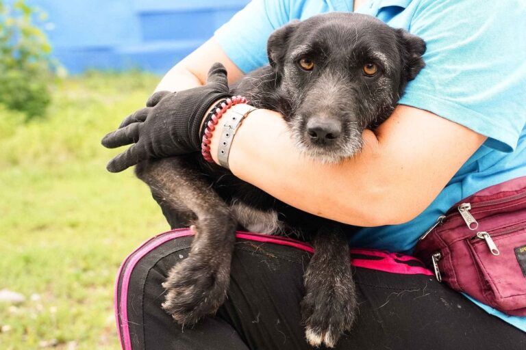 532346068_122136011438812415_2866096599314776647_n