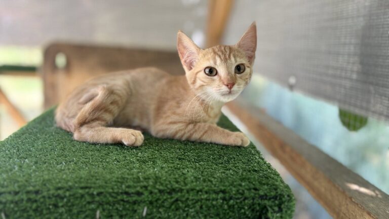 533600493_24755223200742289_1378232565465854270_n