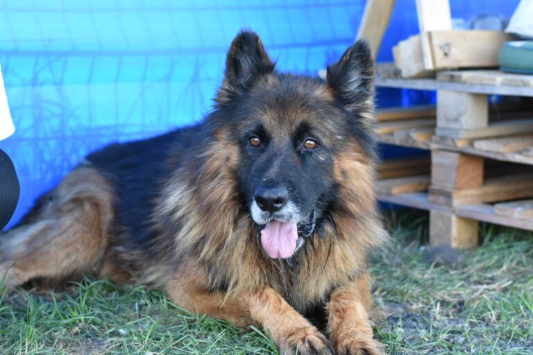 534229899_24238446072474464_6021142015900297787_n