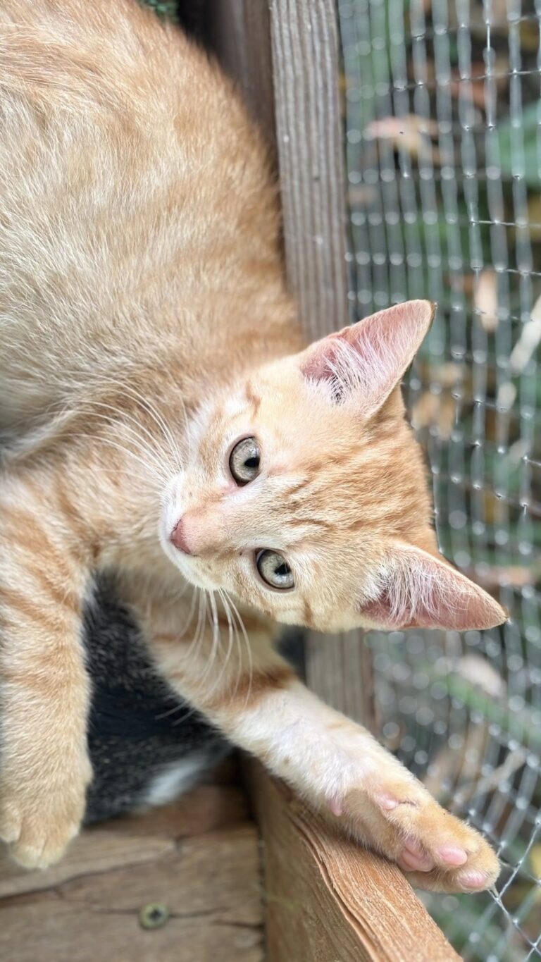 534555672_24755292224068720_8303034343162889391_n