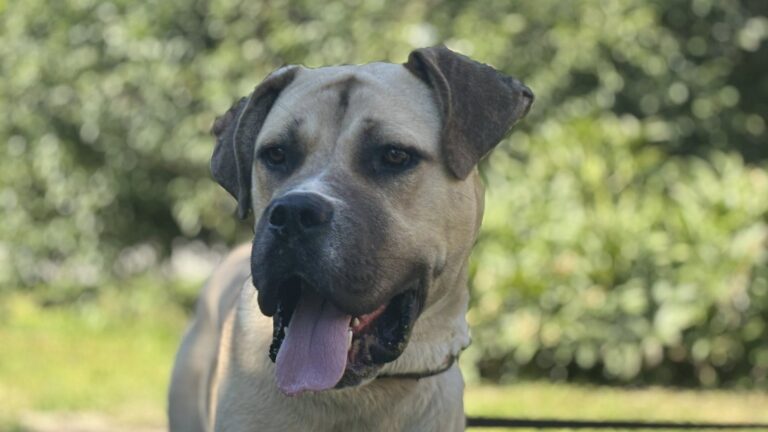 534658669_122208740732122691_6793813552018470653_n