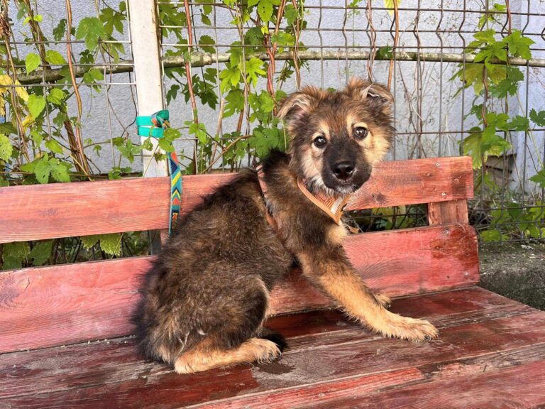 536888405_10238881210592688_7489083726868645242_n