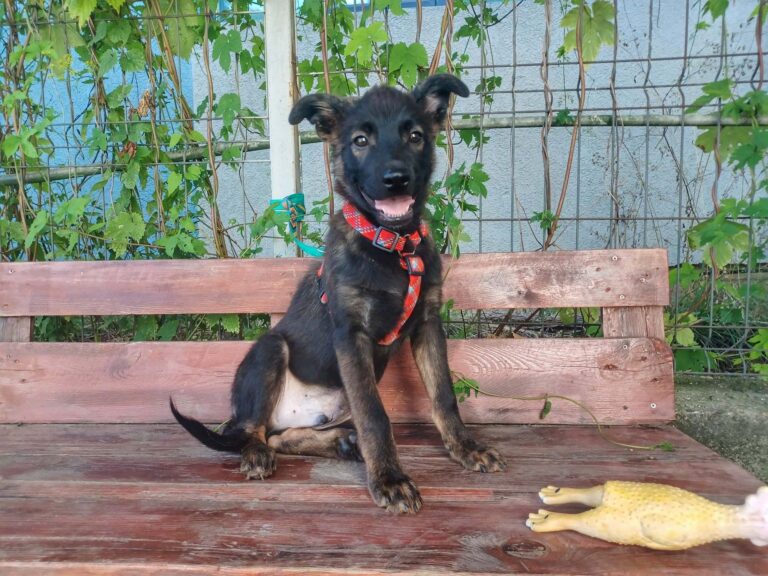 537099416_10238849676684360_2499806912266223520_n