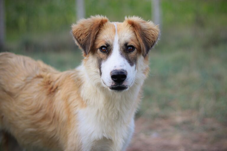 539680978_3086983221479793_2570557932732222378_n