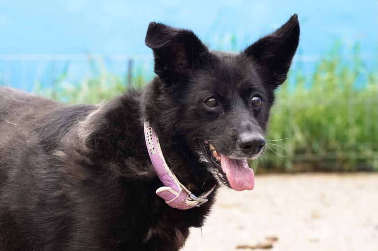 541417080_122138662874812415_7102876280890029578_n