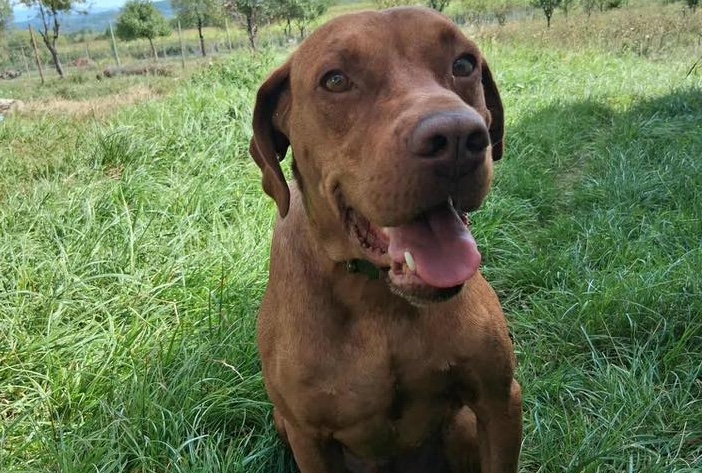 545158464_25265290039724654_81096928625119650_n