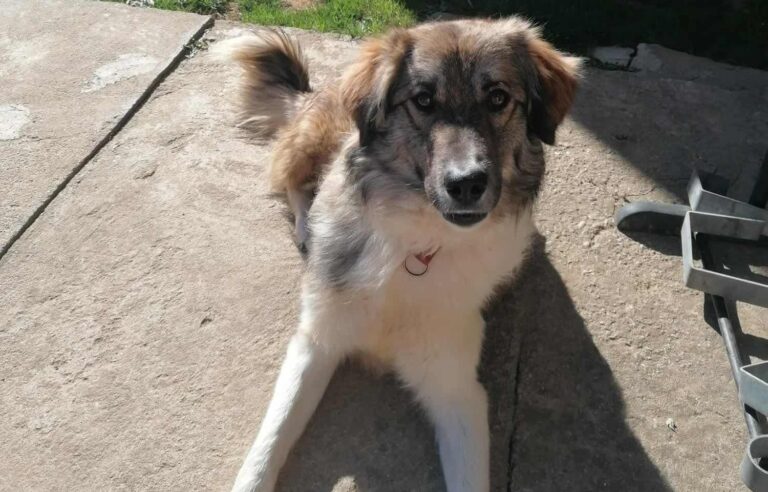 555554199_25468012212785768_4867739631772204422_n