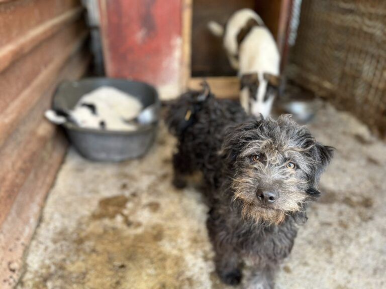 558011021_10239598625007600_2220831795095711544_n