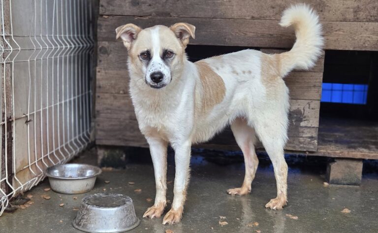 558938773_3388885451252339_1859985811304996801_n