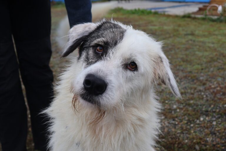 564536749_1155202713235877_5295699089160424618_n