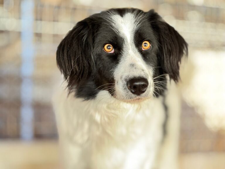 565285966_25673381148915539_8658351320260633745_n