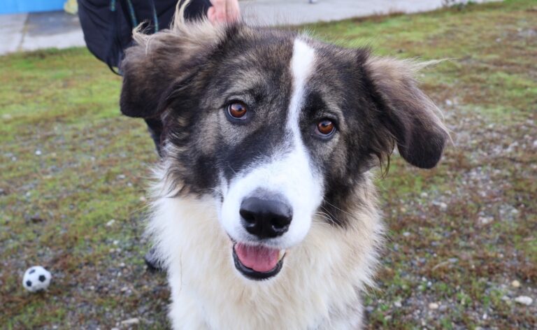 568569875_1158065952949553_5958355834354660570_n