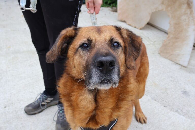 568654845_1157858312970317_6901048004049208576_n