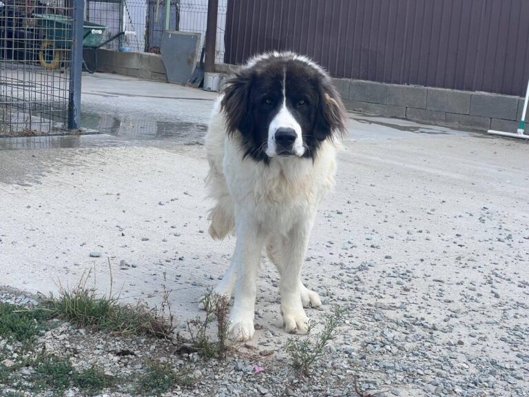 589962277_25190924590599958_4555057844325676812_n