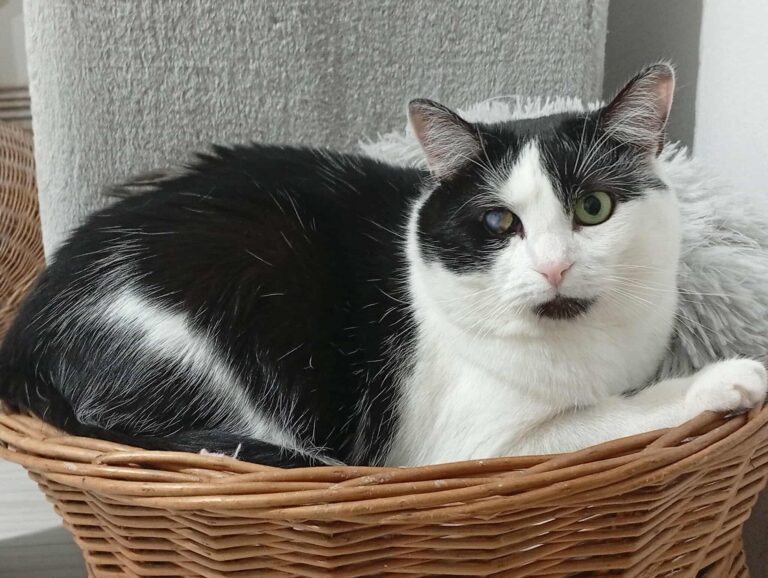 613744922_766177989224669_8967528083467777377_n