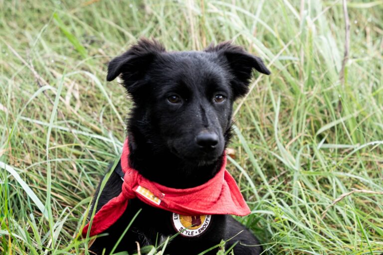 63400F6F-F7BC-4444-9F66-A5AEE5216C63