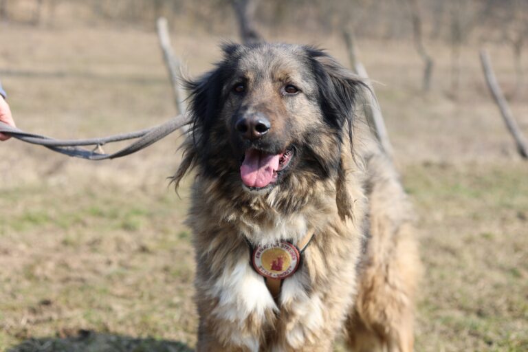 647918426_26033375449688197_6893836261758330538_n