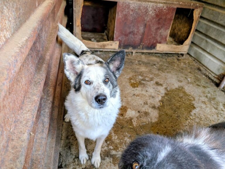 9e332d80-eea7-4b74-b027-4be6688b14fb