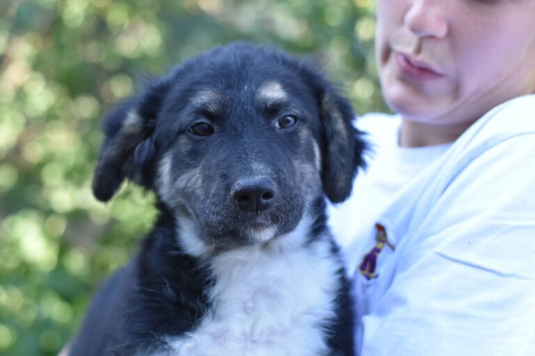 FB_IMG_1755515194740