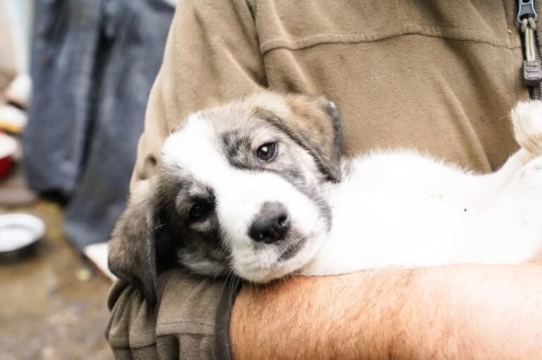 FB_IMG_1755515564972