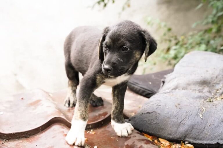 FB_IMG_1755516194229