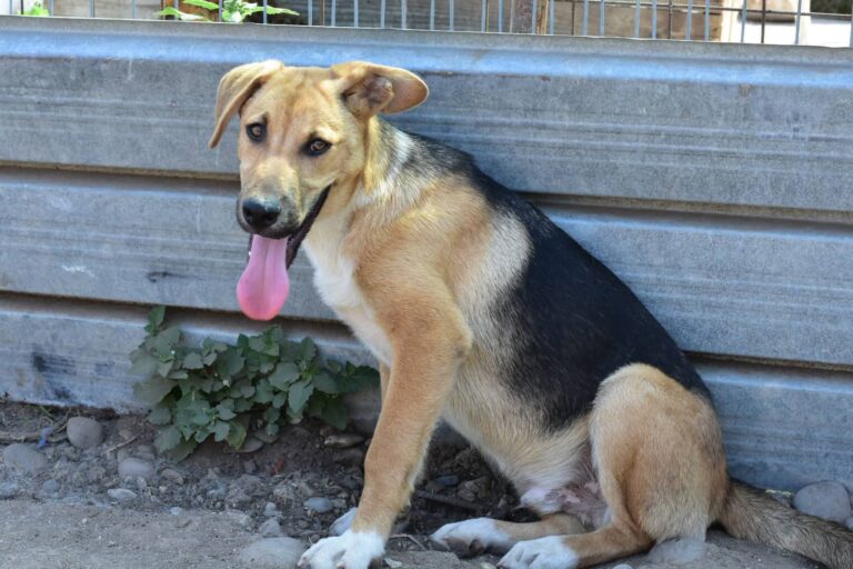 FB_IMG_1755517076318