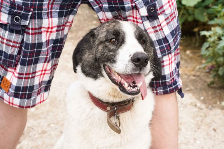 FB_IMG_1756194259916