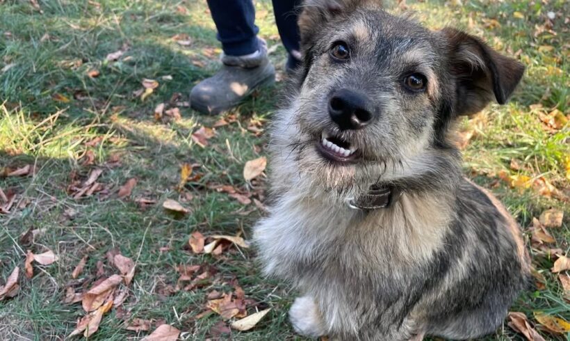 FRITZ – reserviert