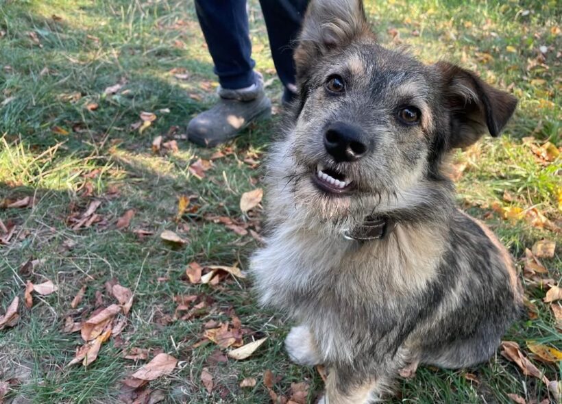 FRITZ – reserviert