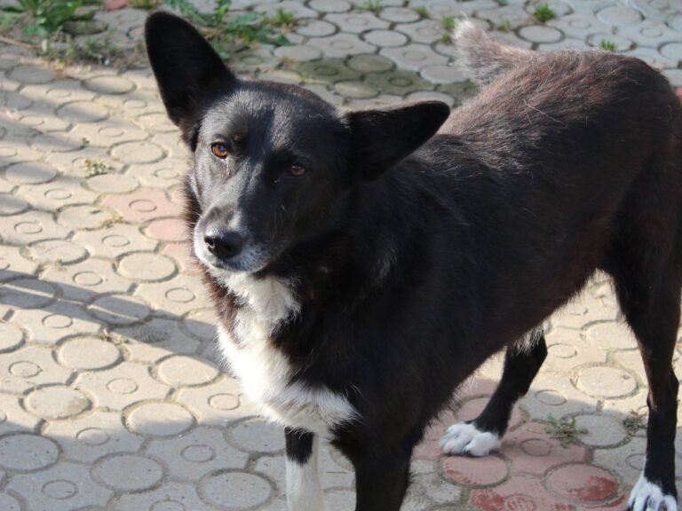 WhatsApp Image 2025-12-03 at 16.13