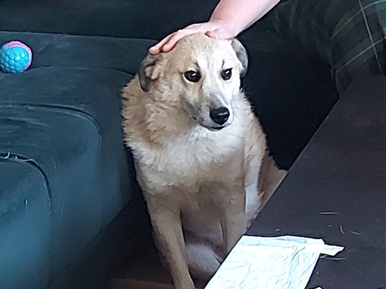 WhatsApp Image 2026-01-24 at 11.11