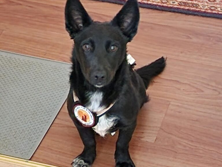 a939b4e7-154b-4bef-af5e-c2c3ba68c546