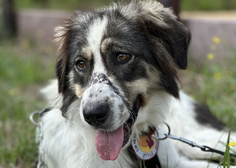 b15179d7-cdfd-43fe-9ce8-af37c236e379