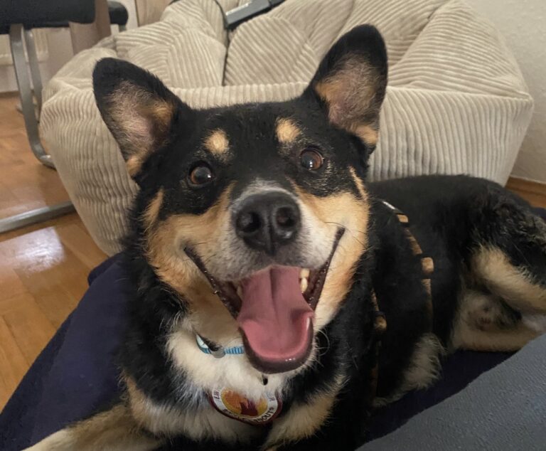 ff2f7c6c-b440-4aff-8279-d08a3dadd535