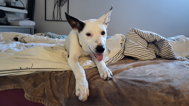 thumbnail_1000150055 (1)