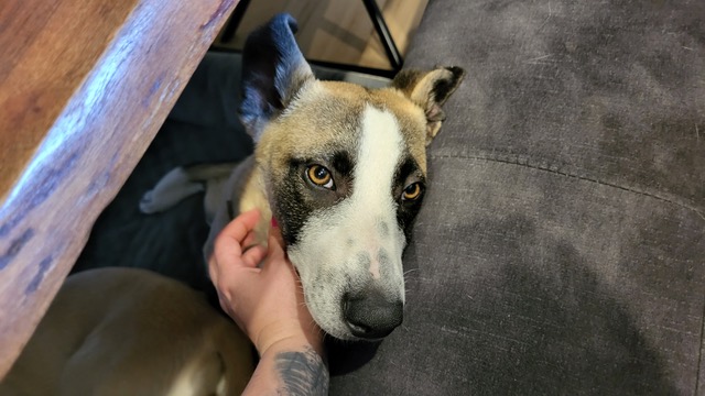 thumbnail_1000153545